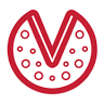 Vini's Pizza