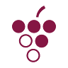 VinoRoma Wine Studio & Social Club - Wine Tastings, Food Tours, Courses, Training, Special Events