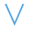Vision Pools International