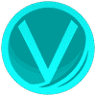 Vital Performance Physical Therapy