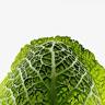 VitaNtech Biotechnology