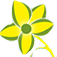 Vivek Flowers
