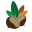 AGROCASTANEA Alternativas Agroforestales