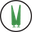 MorenoPlant Cipreses