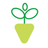 VIVERPLANT SURRAC BENICARLO GARDEN