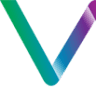 Vivid Media