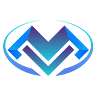 V and M Tax Services Inc