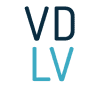 Vol direct Las Vegas