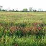 Wabash County Soil & Water