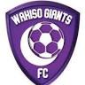 Wakiso Giants FC Stadium
