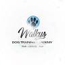 Walkys - Dog Training Academy