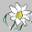 Immobilienagentur Walter Immobilien