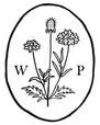Walter Pine Floral Studio