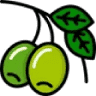Watercress Creek Olives and Limes