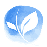Waybridge Counseling