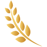 Wayne Countryview Care and Rehabilitation
