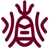 Datong Elementary School Library