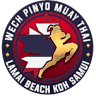Wech Pinyo Muay Thai