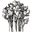 Weidenwald