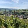 Weingut Steinmetz