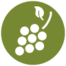 Weingut Walter Wien
