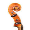 Weinstein Violins