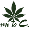 Tienda CBD en Almería WELCOME TO CBD