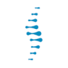 Wellness 1st Chiropractic - Chiropractic, Massage, Acupuncture, DOT Physicals