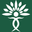 Wellness Tree Farms