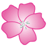 Apple Blossom Floral
