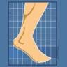 Wentz Foot & Ankle