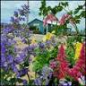 Olive Branch Garden Center
