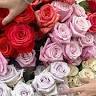 THE WEXFORD FLORIST Wexford Pa