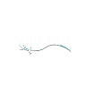 Whiptail