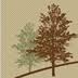 Whispering Oaks Retreat, LLC.