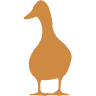 Whistling Duck Farm And Store
