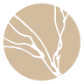 White Branch
