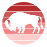 White Buffalo Coffee Bar