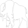 White Buffalo Hotel