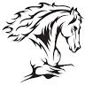 white horse graphics