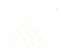 White Swan