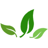 Whole Body Natural Health