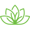 Whole Health Chiropractic
