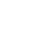 Brian Singer Public Adjuster
