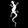 Wild Gecko Handicrafts