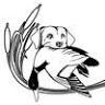 Wild Acre Kennels