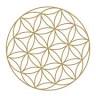 Wildflower Massage & Wellness Byron Bay