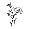 Wildflower Florist