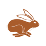 Wild Hare Films