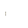 Wild Hats